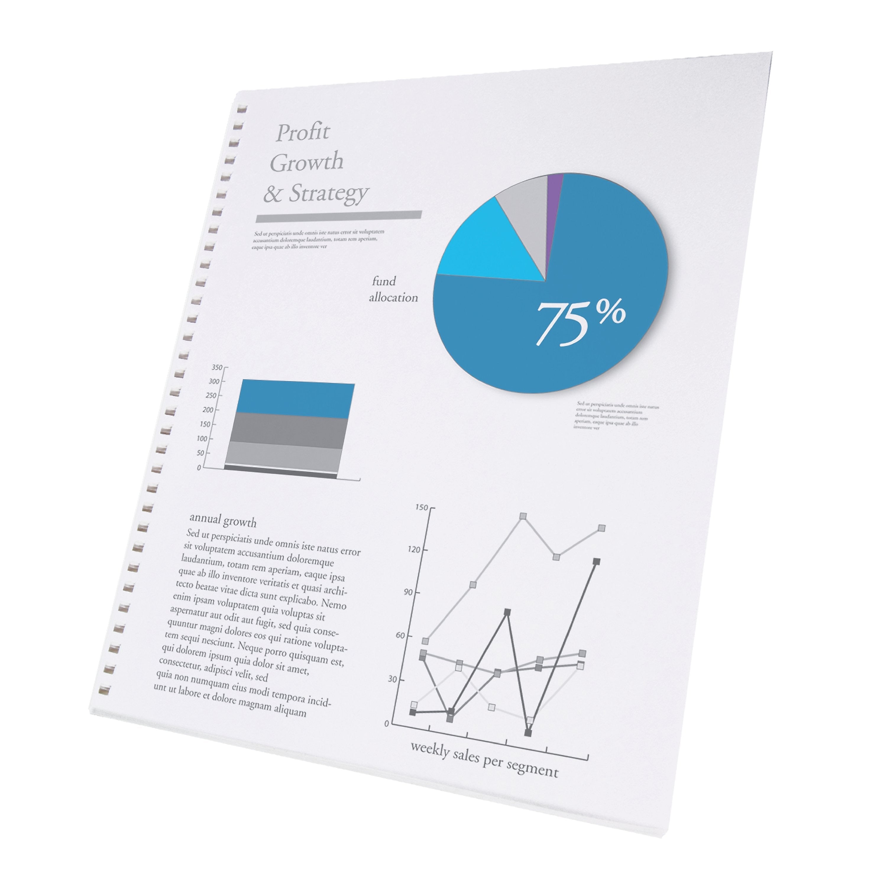 GBC 250 Sheet Pre-Punched Paper, 8 1/2" x 11" (2514479)