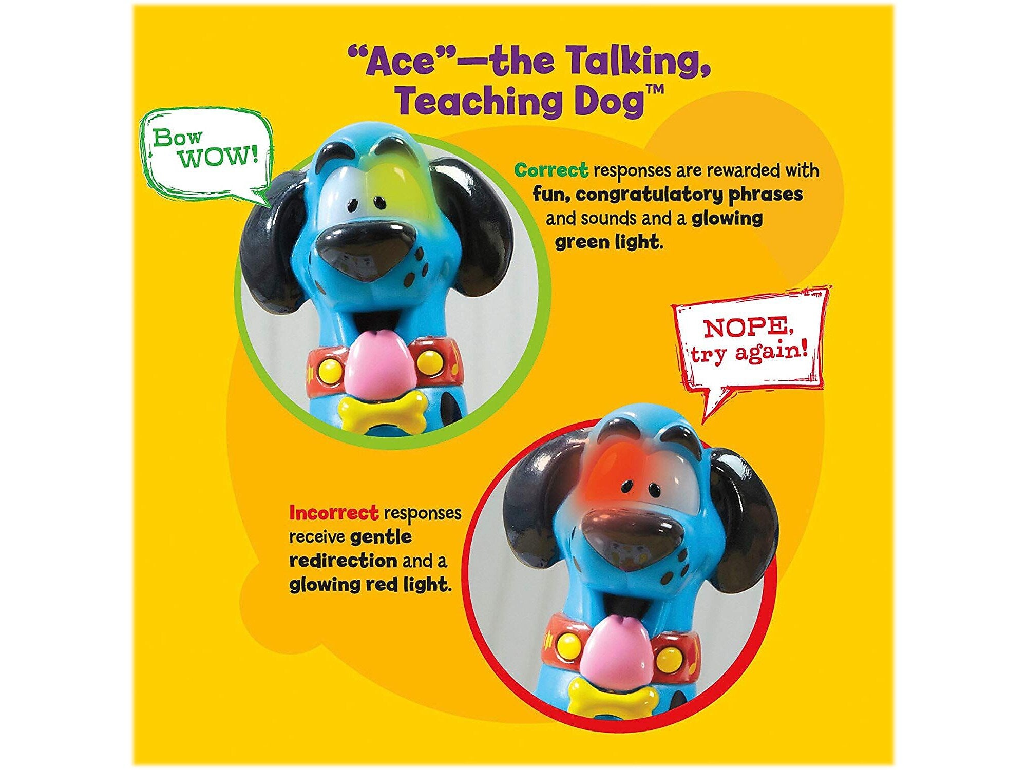 Educational Insights Hot Dots Jr. Let's Master Kindergarten Math Set, 5-6 Ages (EI-2373)