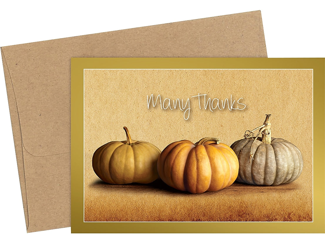 Great Papers! Fall Pumpkins Matte Personal Thank You Notecard, Multicolor, 50/Pack (2019092)