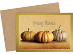 Great Papers! Fall Pumpkins Matte Personal Thank You Notecard, Multicolor, 50/Pack (2019092)