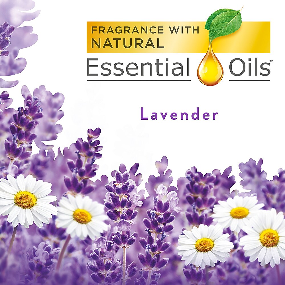 Freshmatic Refill, Lavender/Chamomile, Aerosol, 6.17oz