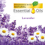 Freshmatic Refill, Lavender/Chamomile, Aerosol, 6.17oz