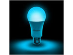 Energizer Connect Smart LED Bulb, Multi-White and Multi-Color, A19 (EAC2-1003-RGB)