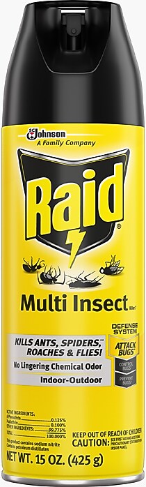 Raid Multi Insect Killer, Indoor/Outdoor Aerosol Spray, 15 oz. (300819)