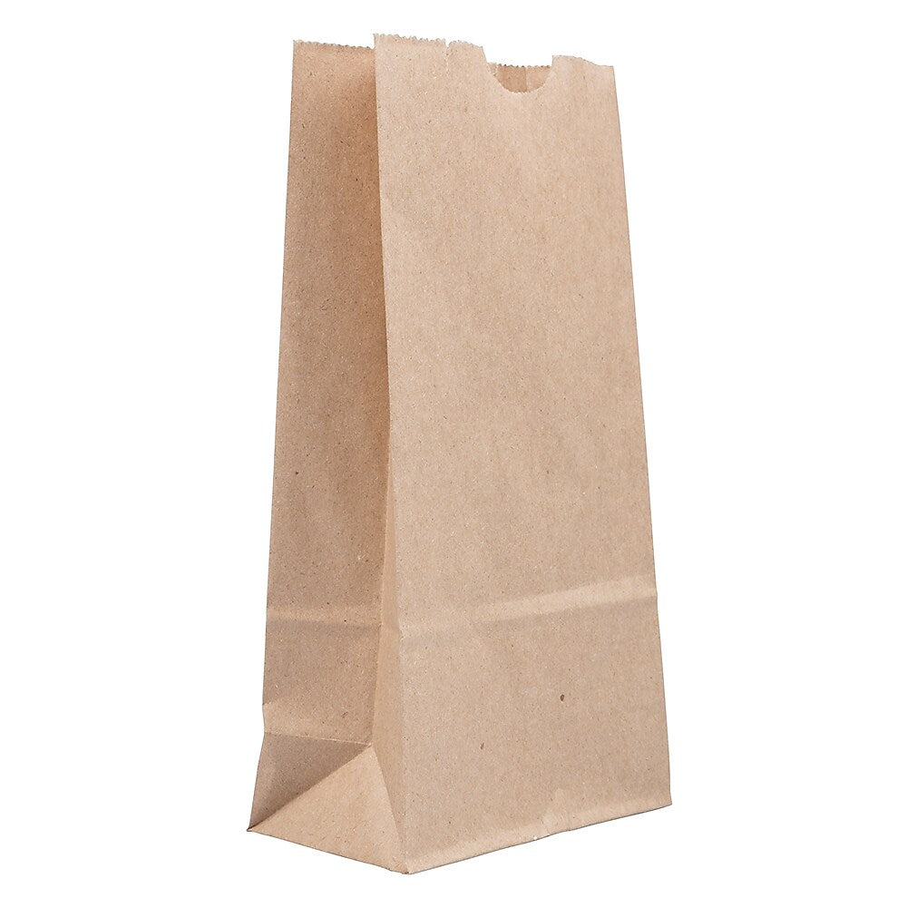 JAM Paper Lunch Bags, Brown, 25/Pack (690KRBR)