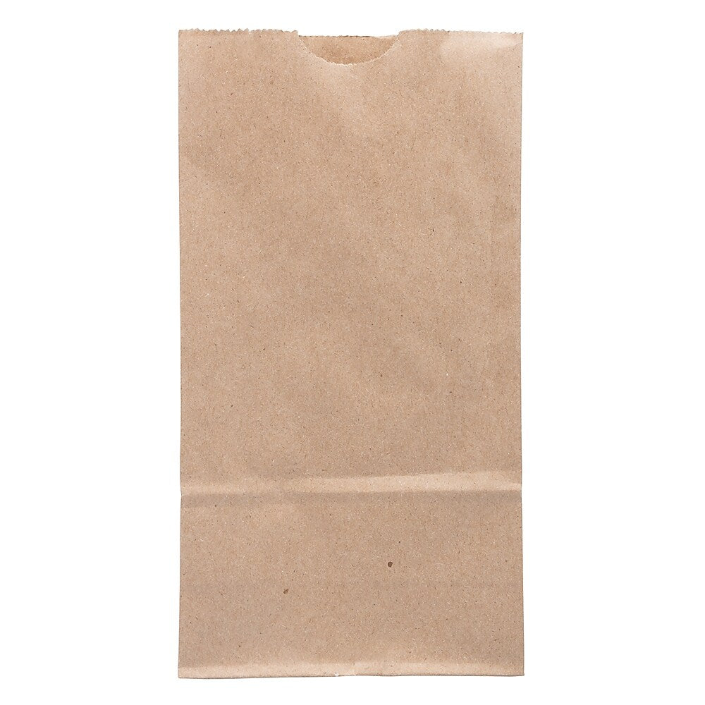 JAM Paper Lunch Bags, Brown, 25/Pack (690KRBR)
