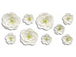 RoomMates Peel and Stick Giant Wall Contemporary Decals, Botanical, 31/Pack (RMK3201GM)