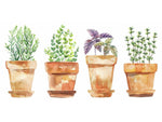 RoomMates Peel and Stick Wall Contemporary Decals, Botanical, 4/Pack (RMK3652SCS)