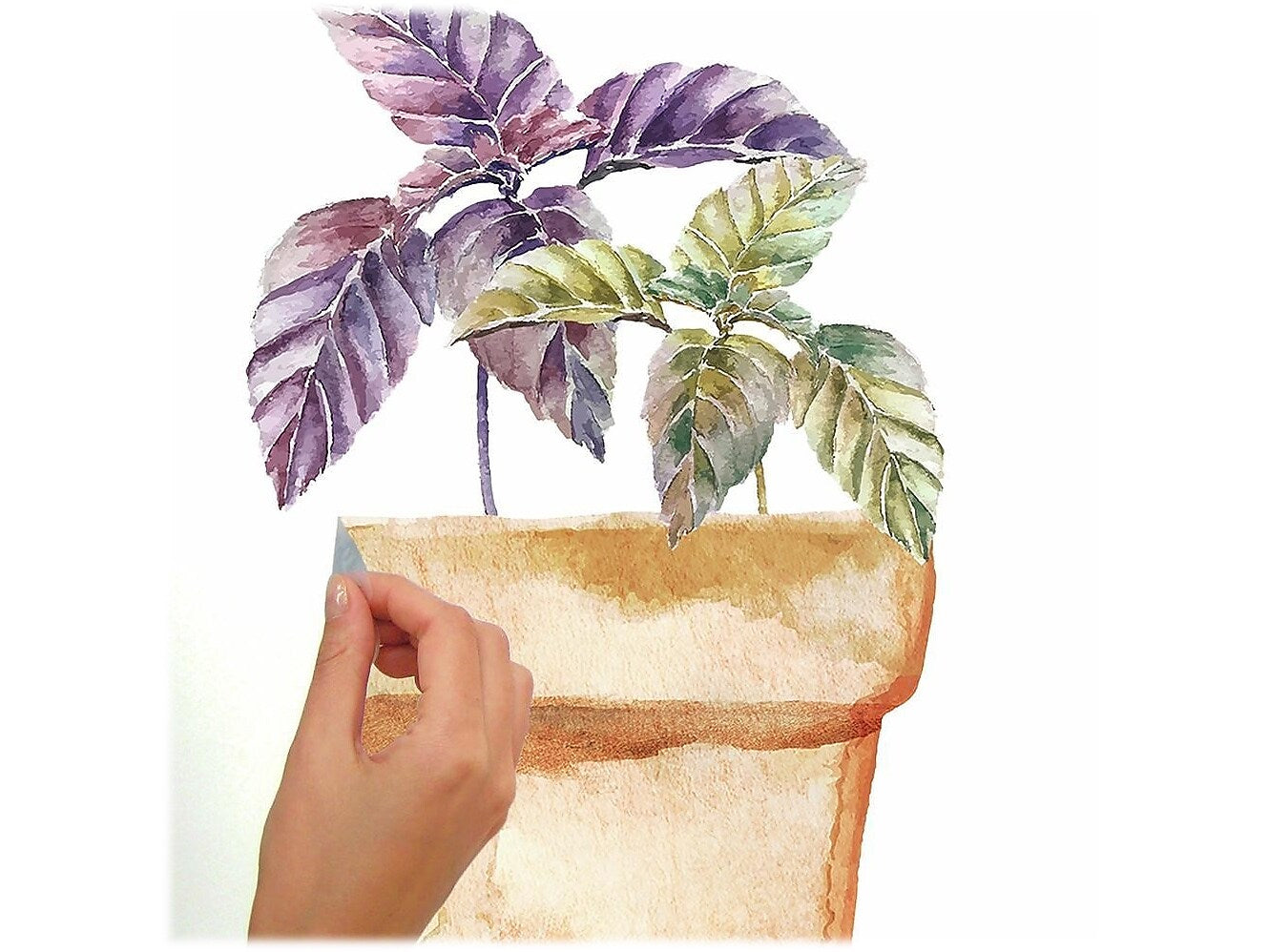 RoomMates Peel and Stick Wall Contemporary Decals, Botanical, 4/Pack (RMK3652SCS)