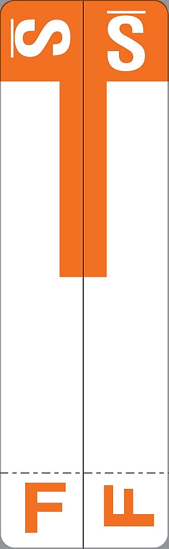 Medical Arts Press® F and S Name Labels, Orange, Smead® Alpha-Z® Compatible