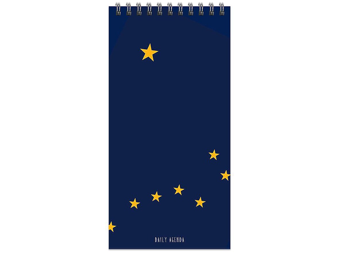 TF Publishing Alaska 4 x 8.5 Daily Planner, Blue/Yellow (99-ALASDA)