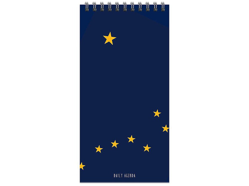 TF Publishing Alaska 4 x 8.5 Daily Planner, Blue/Yellow (99-ALASDA)
