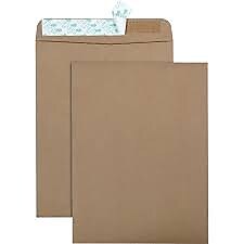 Quality Park Clasp #10 Catalog Envelope, 9" x 12", Light Brown, 100/Box (44511)