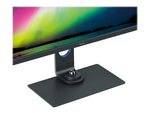 BenQ PhotoVue SW321C 9H.LJ1LB.QBE 32" LED Monitor, Gray