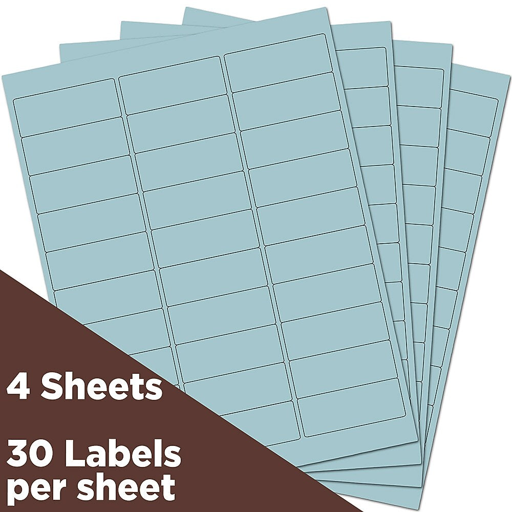 JAM Paper Laser/Inkjet Address Label, 1" x 2 5/8", Baby Blue, 30 Labels/Sheet, 4 Sheets/Pack (4052894)