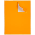 JAM Paper Shipping Labels, Large, 3 1/3 x 4, Neon Orange, 6 Labels/Sheet, 20 Sheets/Pack (354328043)