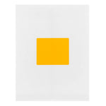 JAM Paper Shipping Labels, Large, 3 1/3 x 4, Neon Orange, 6 Labels/Sheet, 20 Sheets/Pack (354328043)