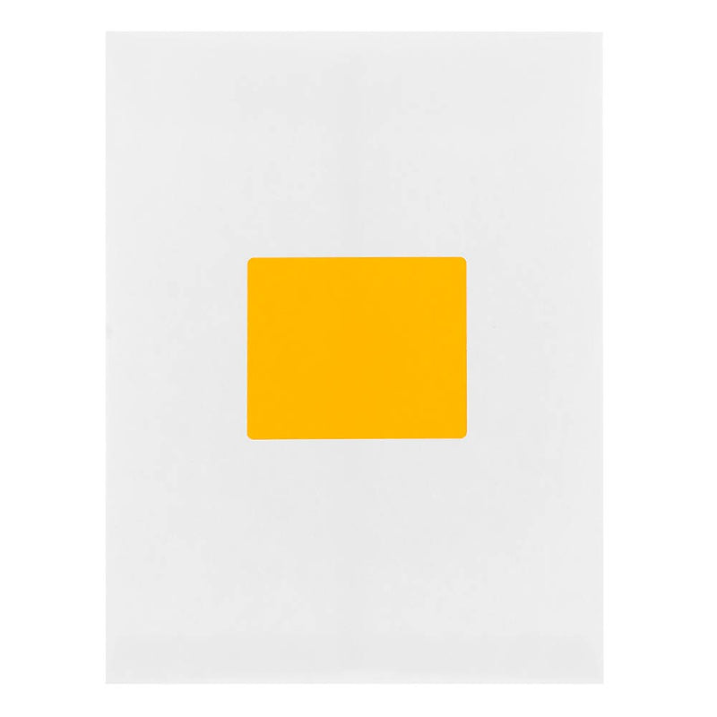 JAM Paper Shipping Labels, Large, 3 1/3 x 4, Neon Orange, 6 Labels/Sheet, 20 Sheets/Pack (354328043)