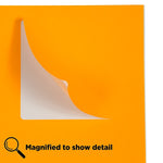 JAM Paper Shipping Labels, Large, 3 1/3 x 4, Neon Orange, 6 Labels/Sheet, 20 Sheets/Pack (354328043)