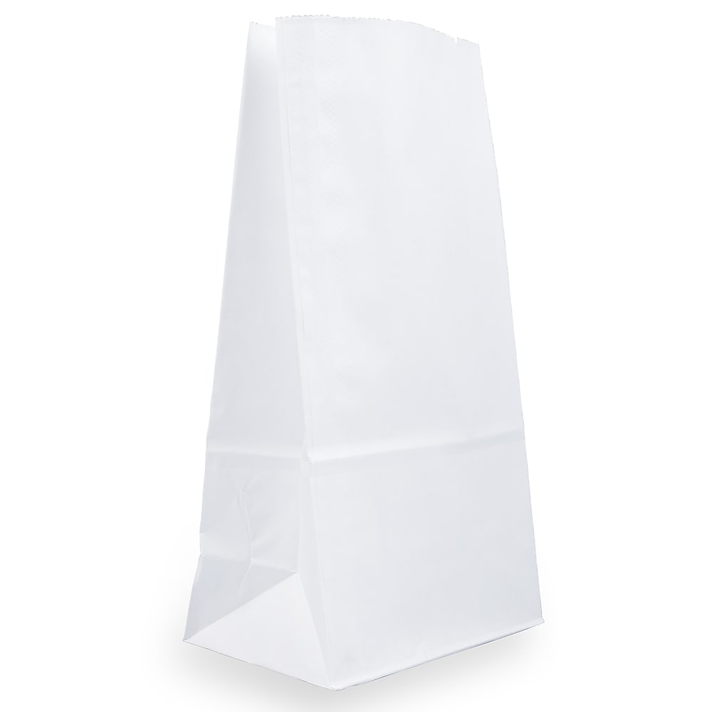 JAM Paper Kraft Lunch Bags, Large, 6" x 11" x 3.5", White, Bulk 500 Bags/Box (692KRWHB)