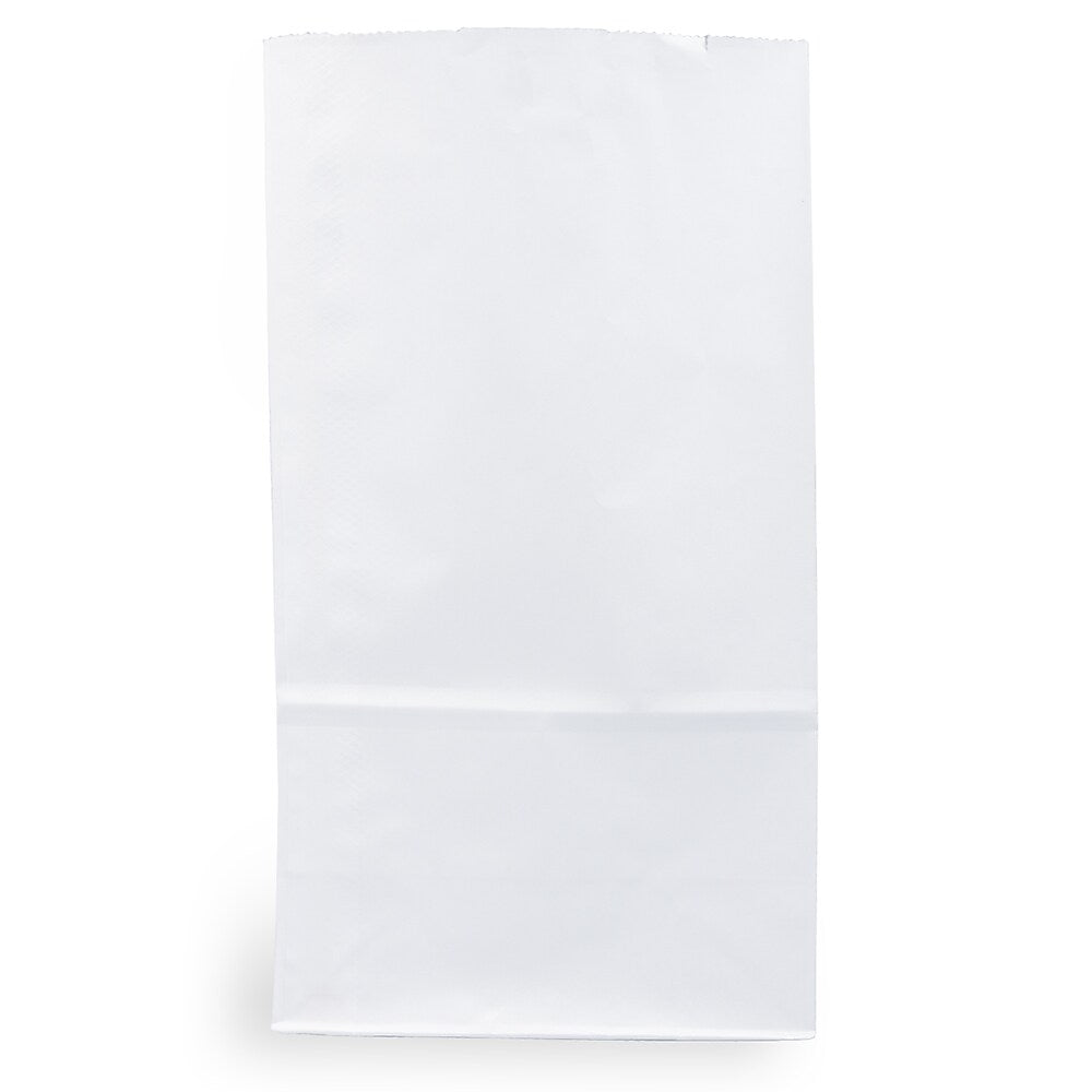 JAM Paper Kraft Lunch Bags, Large, 6" x 11" x 3.5", White, Bulk 500 Bags/Box (692KRWHB)