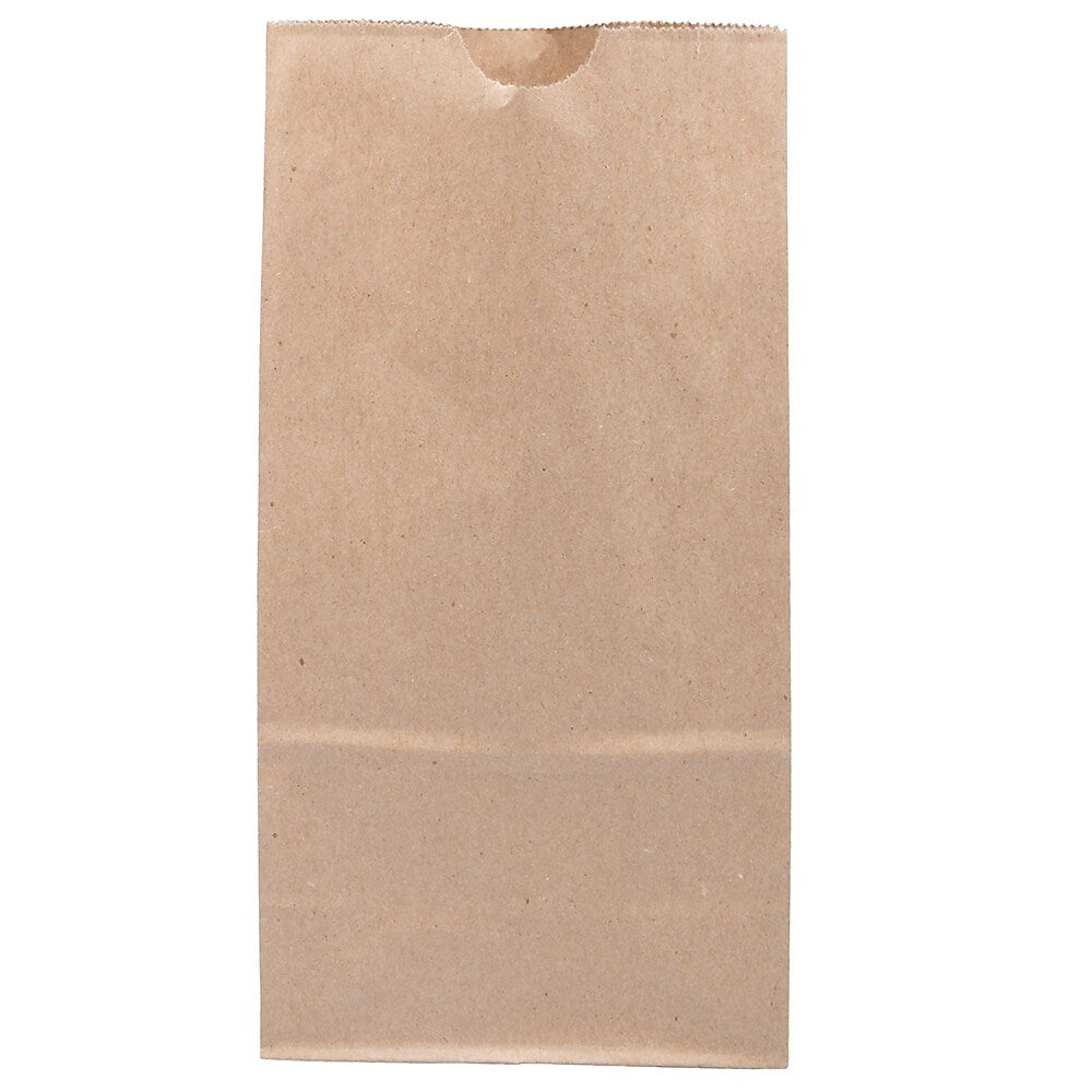 JAM Paper Kraft Lunch Bags, Medium, 5" x 9.75" x 3", Brown Kraft Recycled, Bulk 500 Bags/Box (691KRBRB)