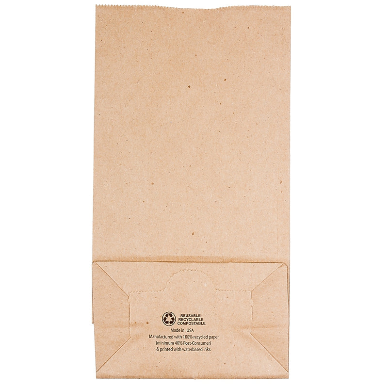 JAM Paper Kraft Lunch Bags, Medium, 5" x 9.75" x 3", Brown Kraft Recycled, Bulk 500 Bags/Box (691KRBRB)