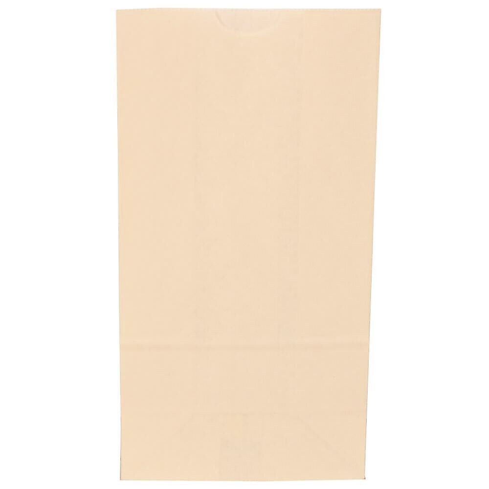 JAM Paper 6" x 11" x 3.5" Kraft Lunch Bags, Large, Ivory, Bulk 500 Bags/Box (692KRIVB)