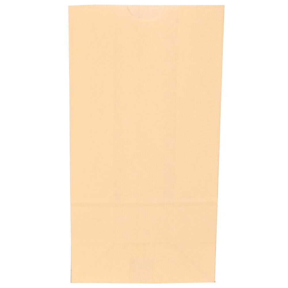 JAM Paper Kraft Lunch Bags, Small, 4.25" x 8" x 2.25", Ivory Kraft, Bulk 500 Bags/Box (690KRIVB)