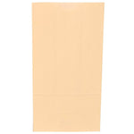 JAM Paper Kraft Lunch Bags, Medium, 5" x 9.75" x 3", Ivory Kraft, Bulk 500 Bags/Box (691KRIVB)