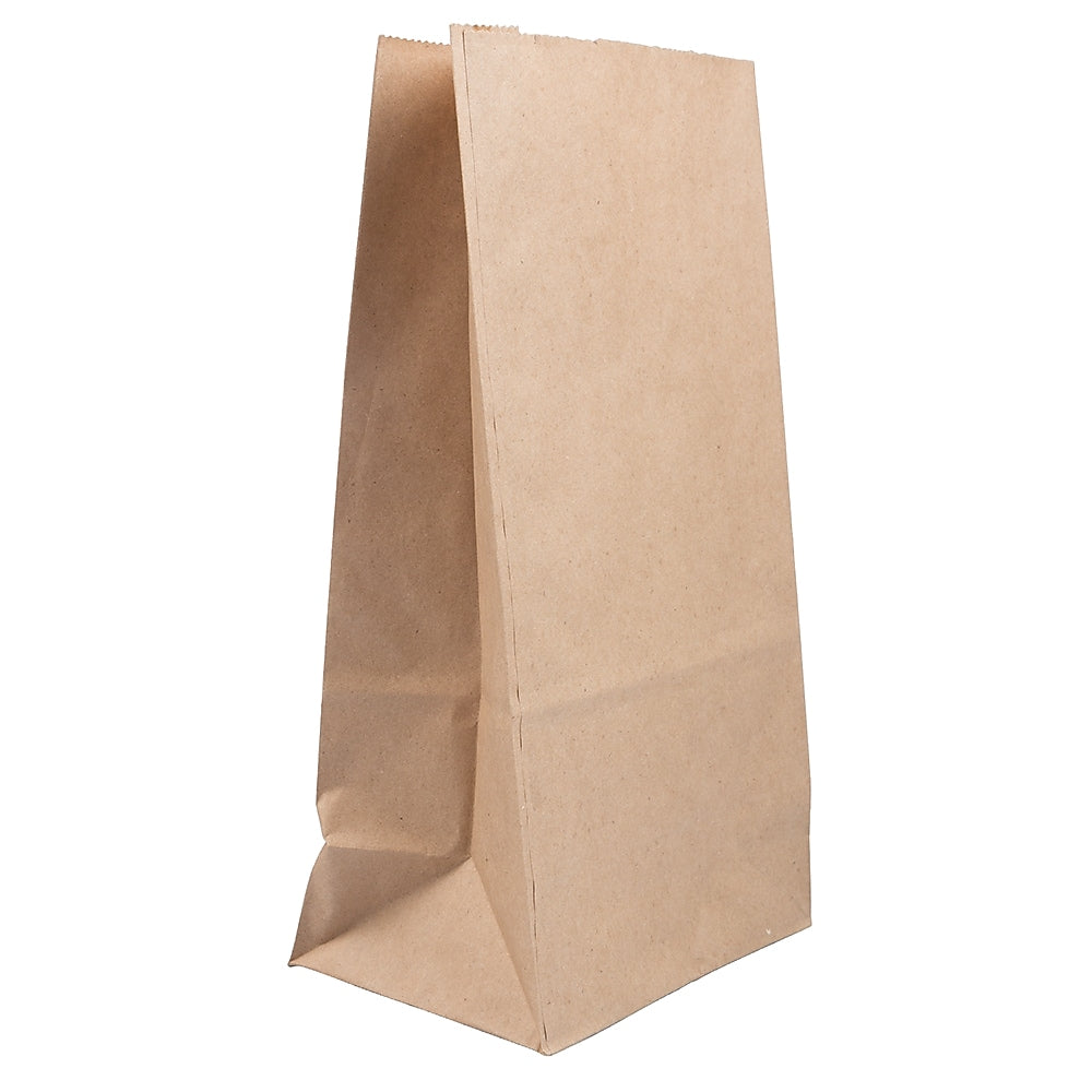 JAM Paper Kraft Lunch Bag, Large, 6" x11" x 3.5", Brown, 500/Pack (692KRBRB)