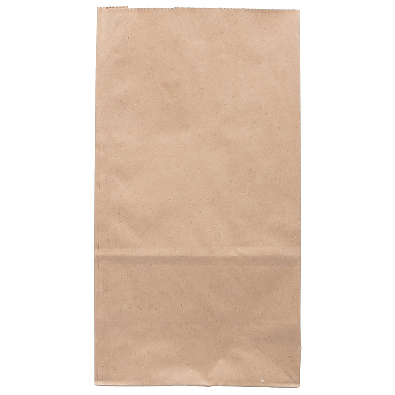 JAM Paper Kraft Lunch Bag, Large, 6" x11" x 3.5", Brown, 500/Pack (692KRBRB)