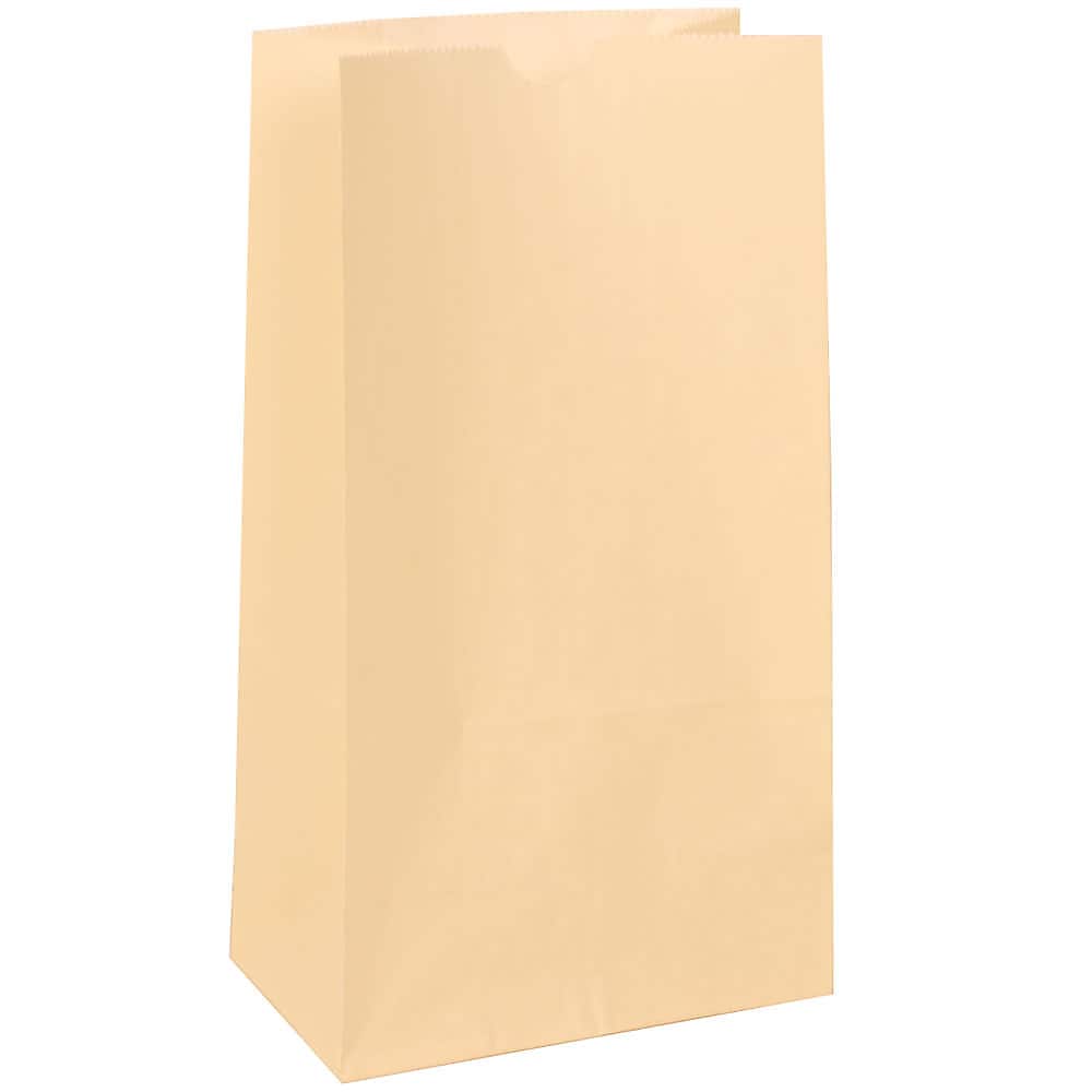 JAM Paper Kraft Lunch Bags, Medium, 5" x 9.75" x 3", Ivory Kraft, Bulk 500 Bags/Box (691KRIVB)