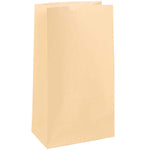 JAM Paper Kraft Lunch Bags, Medium, 5" x 9.75" x 3", Ivory Kraft, Bulk 500 Bags/Box (691KRIVB)