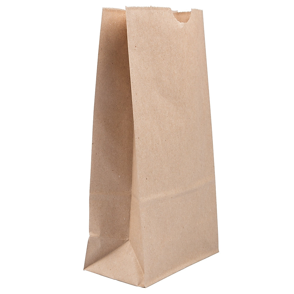 JAM Paper Lunch Bags, Brown Kraft, 25/Pack (691KRBR)