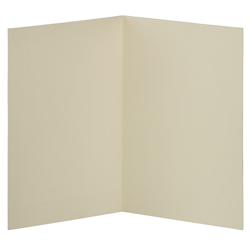 JAM Paper Smooth Formal Notecards, Ivory Panel, 100/Pack (309932)