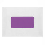 JAM Paper Laser/Inkjet Shipping Address Labels, 2" x 4", Violet Purple, 10 Labels/Sheet, 12 Sheets/Pack (302725790)