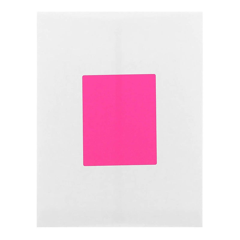 JAM Paper Laser/Inkjet Shipping  Labels, 4" x 5", Neon Pink, 4 Labels/Sheet, 30 Sheets/Pack (354329165)