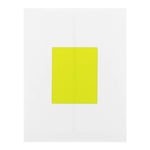 JAM Paper Laser/Inkjet Shipping Labels, 4" x 5", Neon Yellow, 4 Labels/Sheet, 30 Sheets/Pack (354329153)