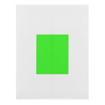 JAM Paper Shipping Labels, 4" x 5", Neon Green, 4 Labels/Sheet, 30 Sheets/Pack (354329156)