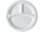 Eco-Products Vanguard Sugarcane Plate, 10", White, 500/Carton (EP-P007NFA)