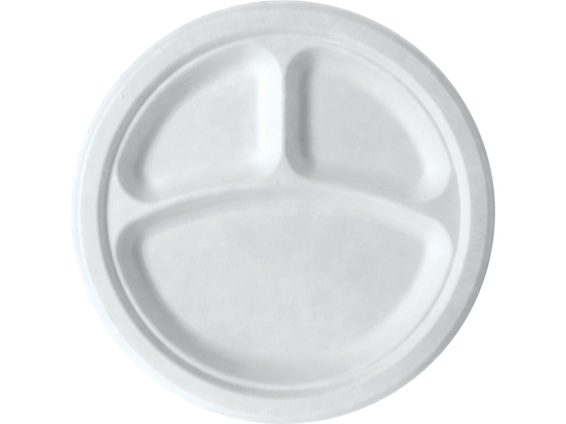 Eco-Products Vanguard Sugarcane Plate, 10", White, 500/Carton (EP-P007NFA)