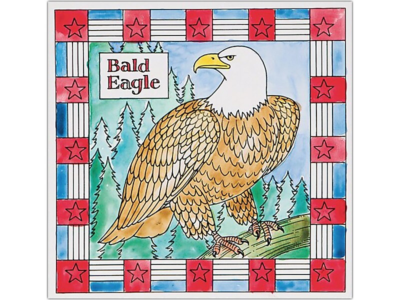 S&S Bald Eagle Painting, Multicolor, 12/Pack (GP3311)