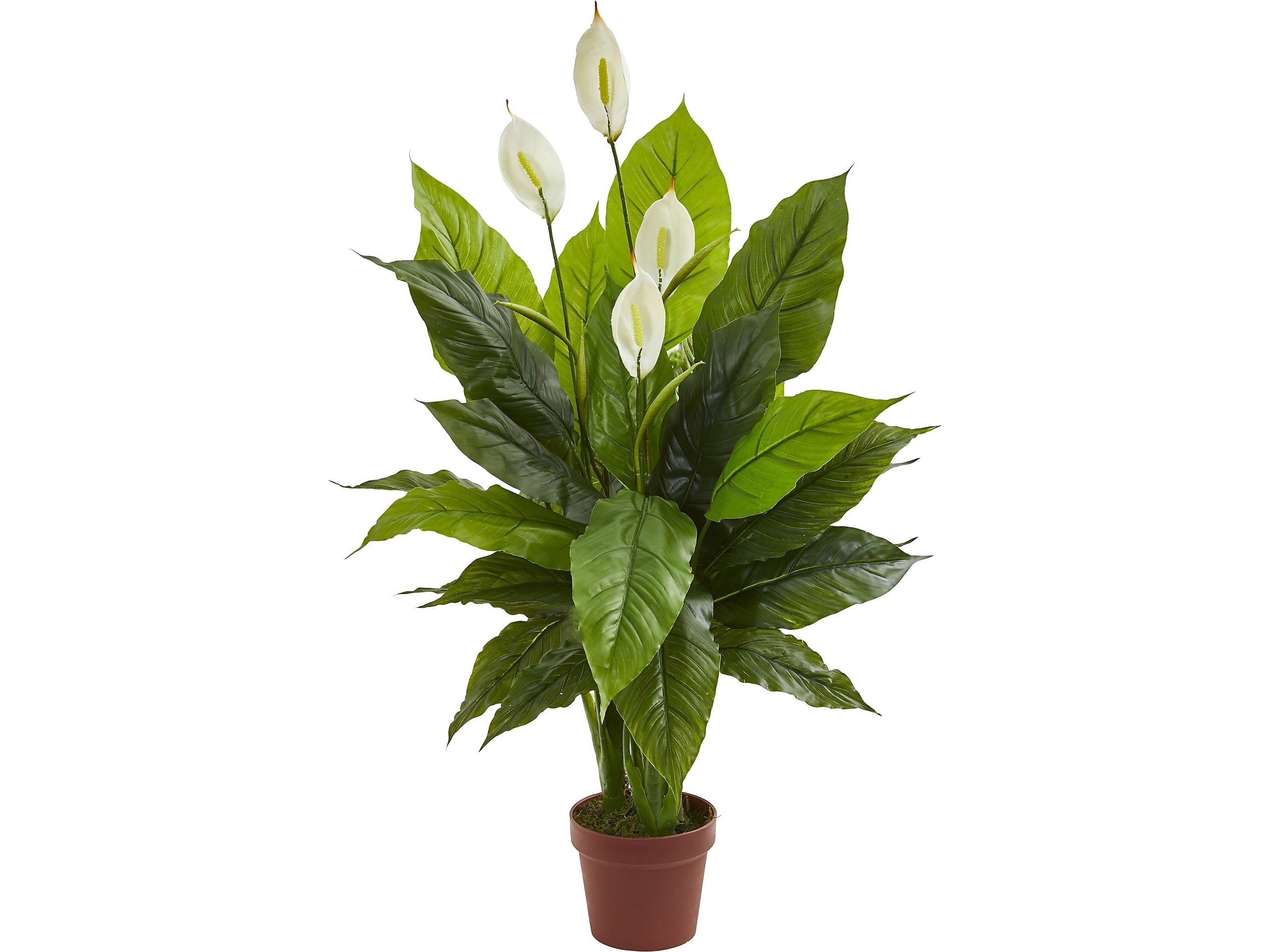 Nearly Natural Spathiphyllum in Pot (8319)