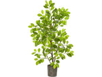 Nearly Natural Ficus Tree in Planter (8329)