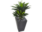 Nearly Natural Double Agave Succulent Plant in Pot (9517)
