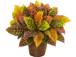 Nearly Natural Garden Croton in Basket (8870)