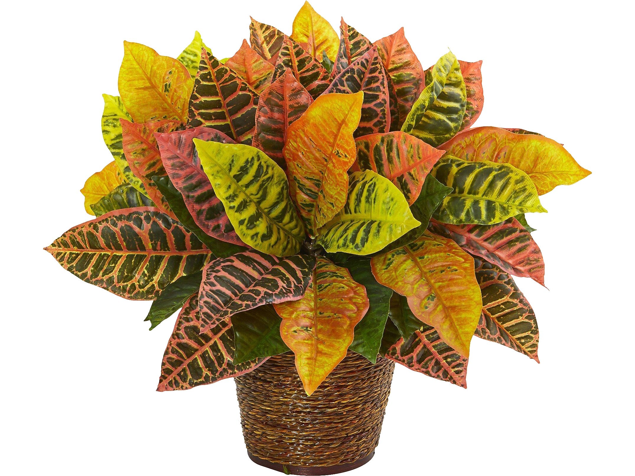 Nearly Natural Garden Croton in Basket (8870)