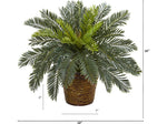Nearly Natural Cycas in Basket (8875)