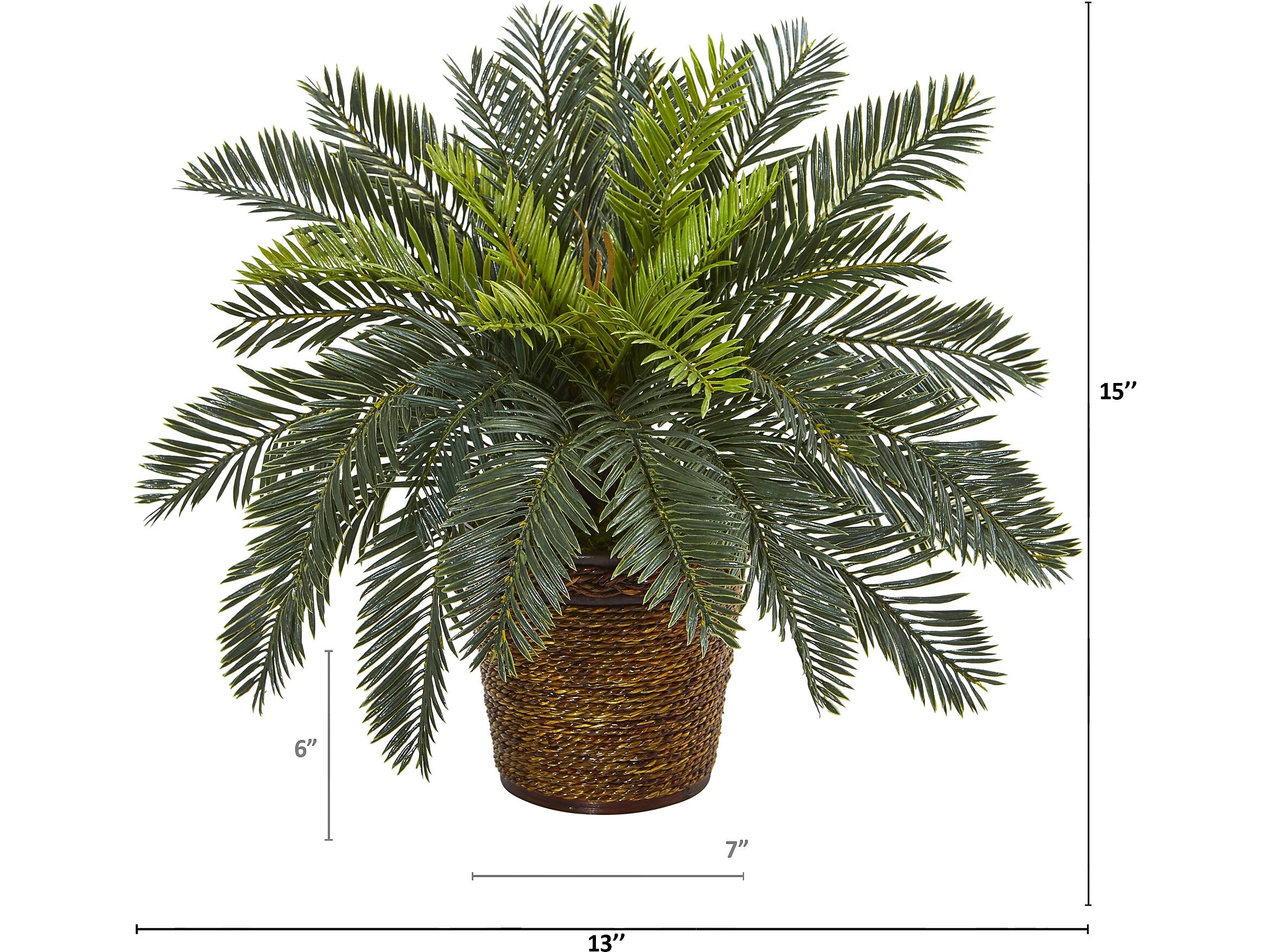 Nearly Natural Cycas in Basket (8875)